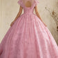 Pink Ball Gown Illusion Neck Quinceanera Dress with Lace