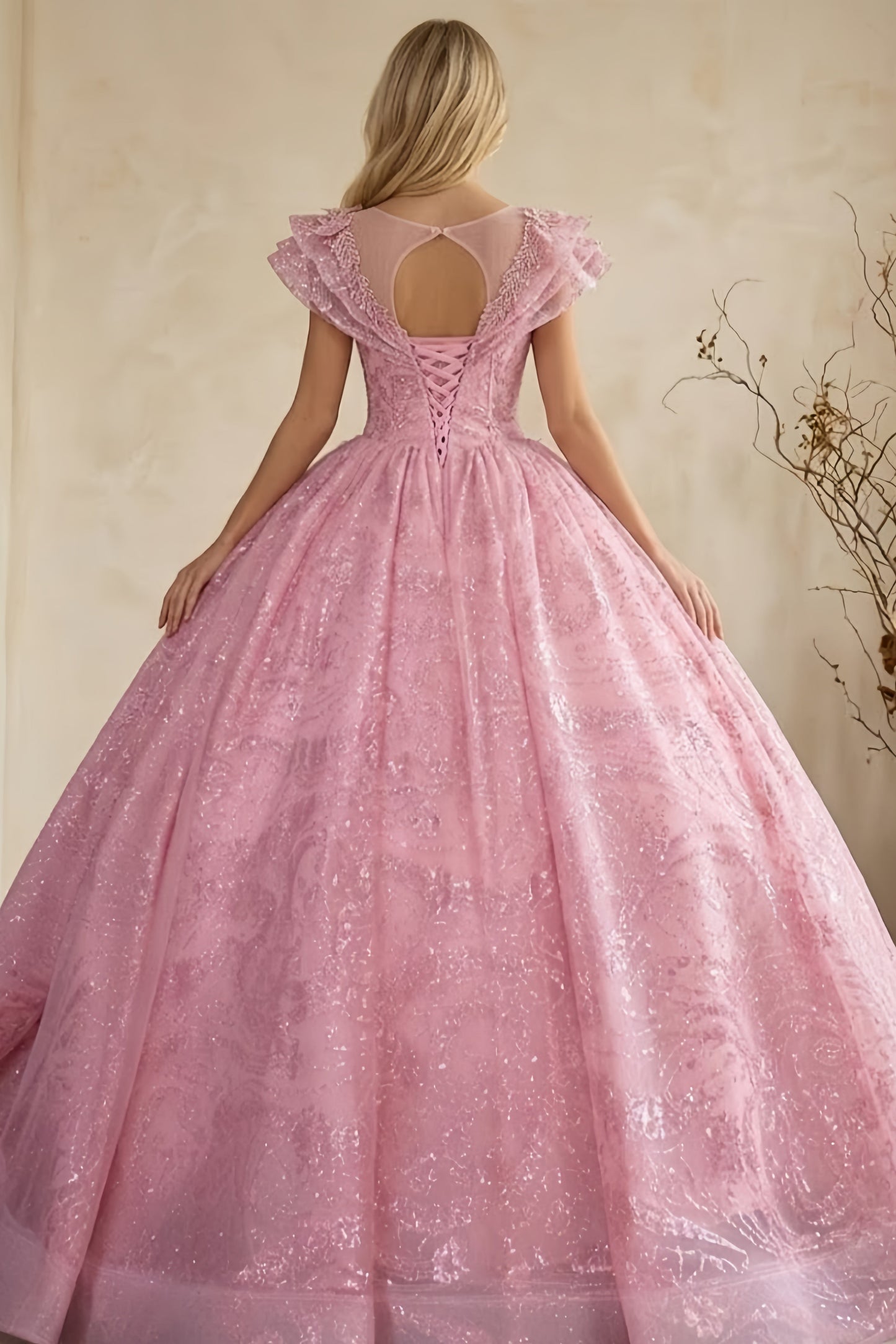 Pink Ball Gown Illusion Neck Quinceanera Dress with Lace