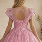 Pink Ball Gown Illusion Neck Quinceanera Dress with Lace