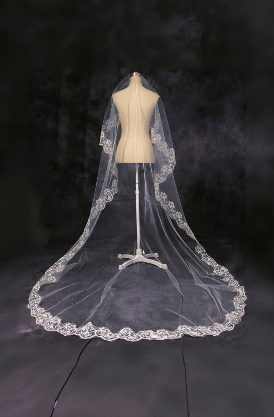 Champagne Cathedral Length Wedding Veil with Lace Trim