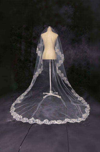 Champagne Cathedral Length Wedding Veil with Lace Trim