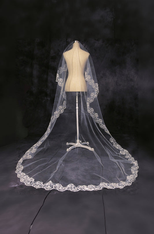 Champagne Cathedral Length Wedding Veil with Lace Trim