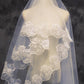 Champagne Cathedral Length Wedding Veil with Lace Trim