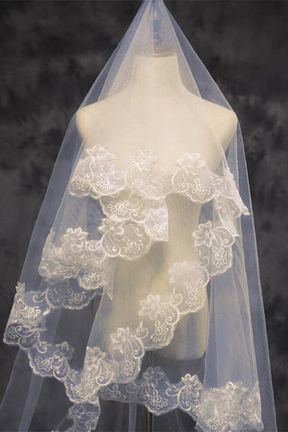 Champagne Cathedral Length Wedding Veil with Lace Trim