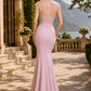 Blush Pink Mermaid Illusion Neck Long Formal Dress with Lace