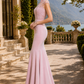 Blush Pink Mermaid Illusion Neck Long Formal Dress with Lace